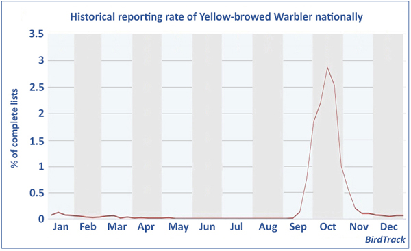 Yellow-browed Warbler, Birdtrack national reporting rate