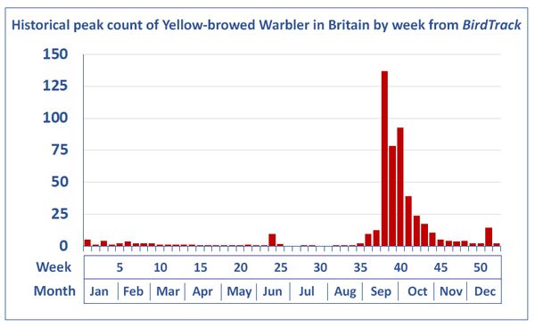Yellow-browed Warbler, Birdtrack national peak counts