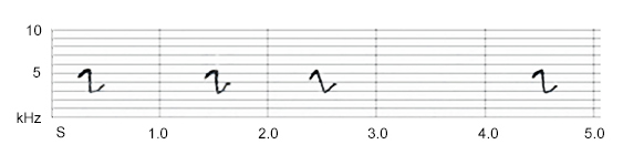 Chiffchaff variant call sonogram