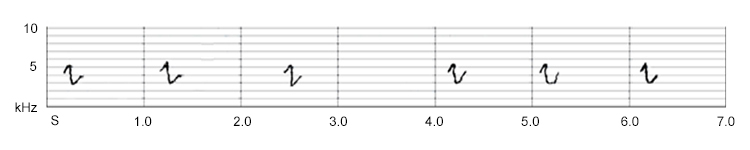 Sonogram of Chiffchaff variant call