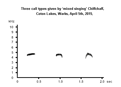 Chiffchaff  - 3 call types - Warks, April 2015