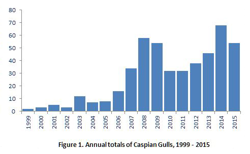 Annual distribution of Caspian Gulls, 1999 to 2015