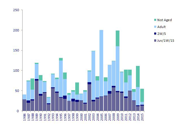 Annual distribution of Little Gulls, 1986-2015