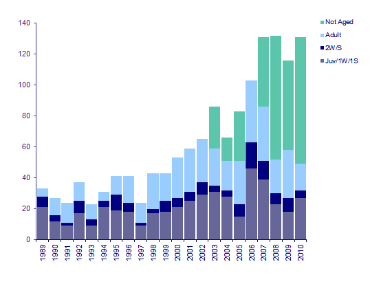 Annual distributiion of Med Gulls, 1989-2010